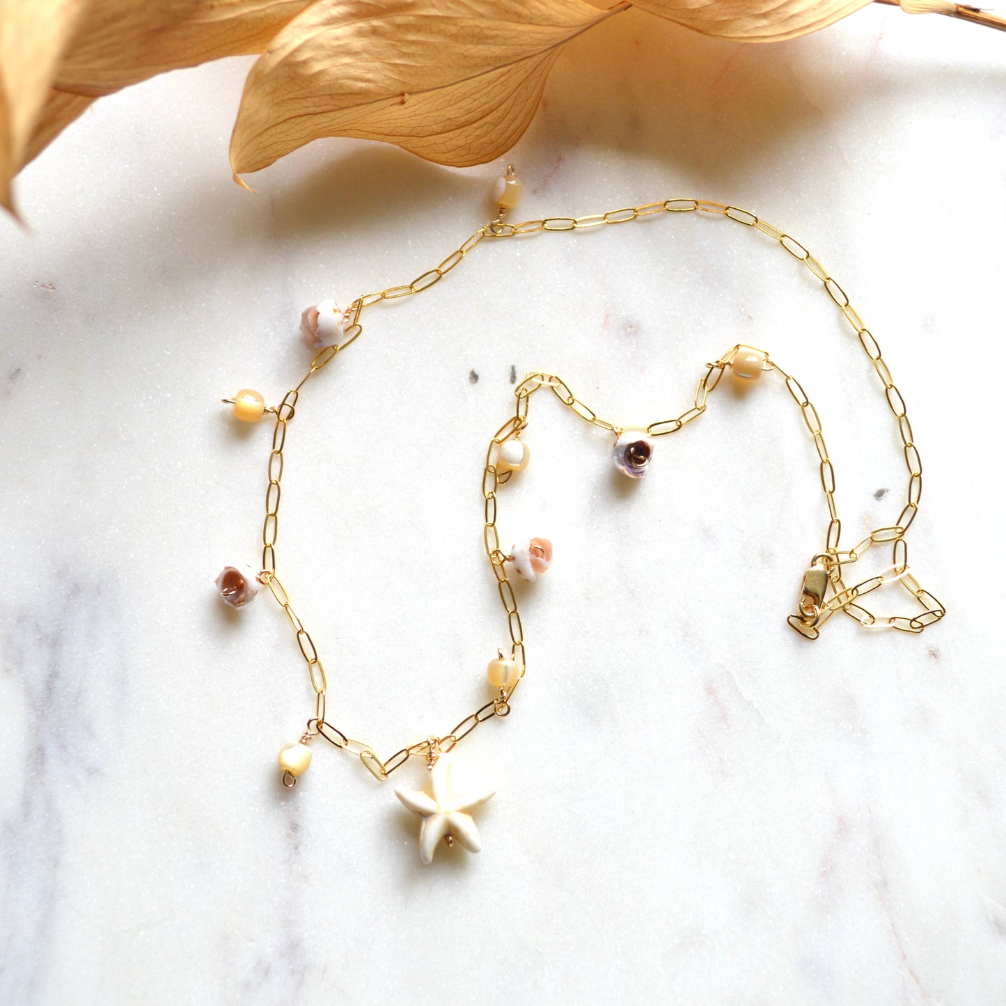Star Shell Necklace