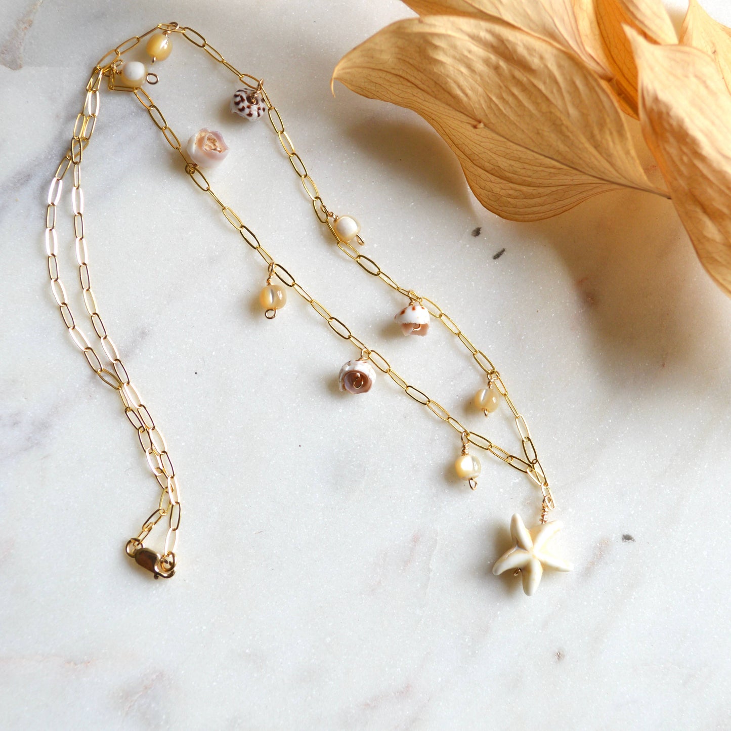 Star Shell Necklace