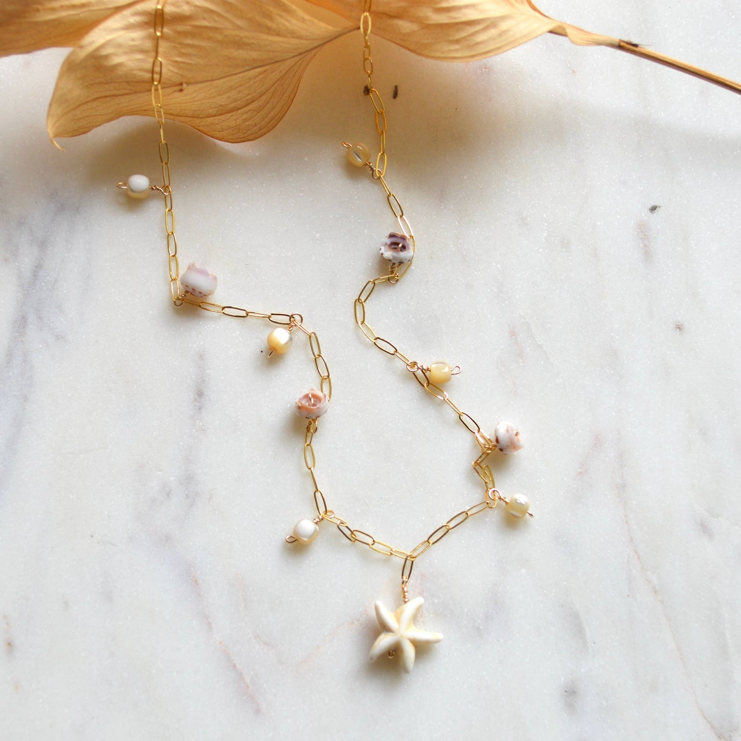Star Shell Necklace