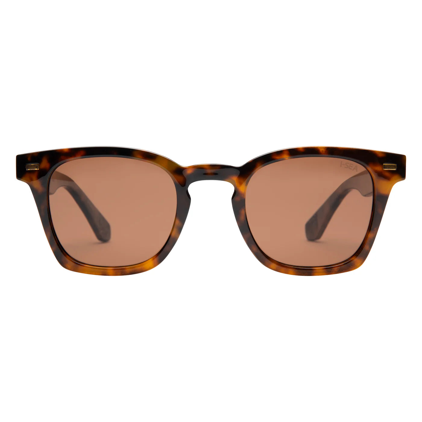PALMER POLARIZED