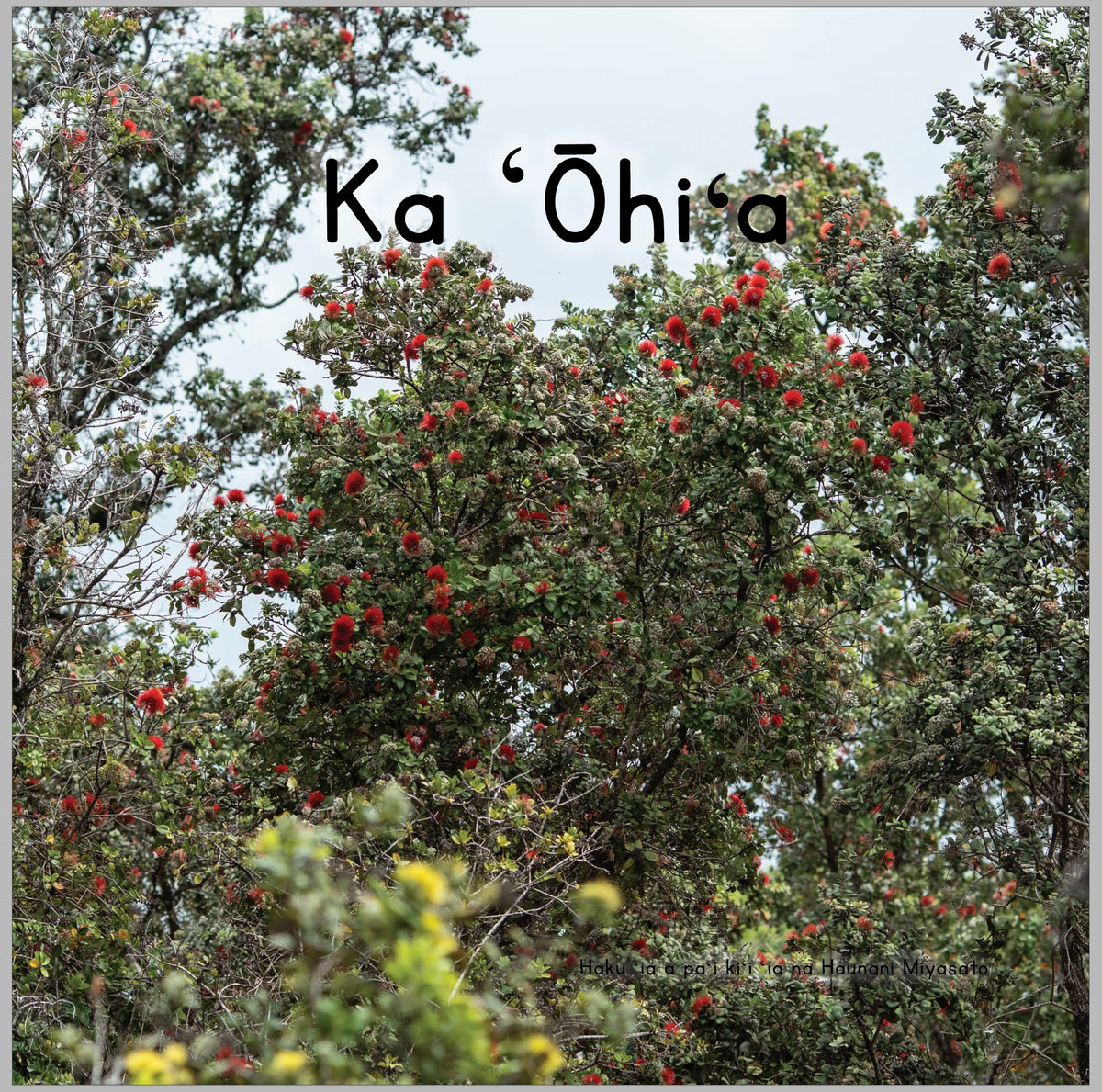 Puke - Kaulana Mahina