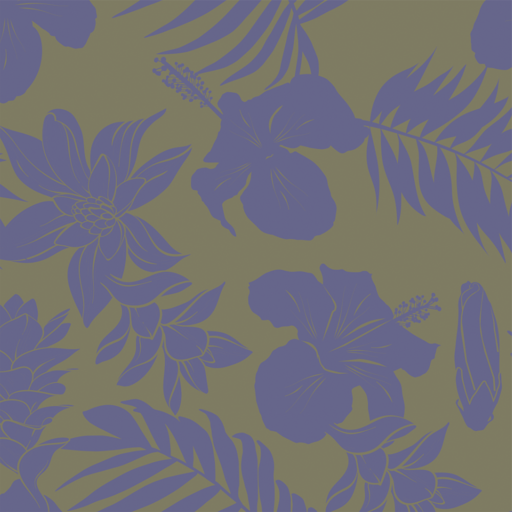 Mai Bonita Bottom - Resort '26