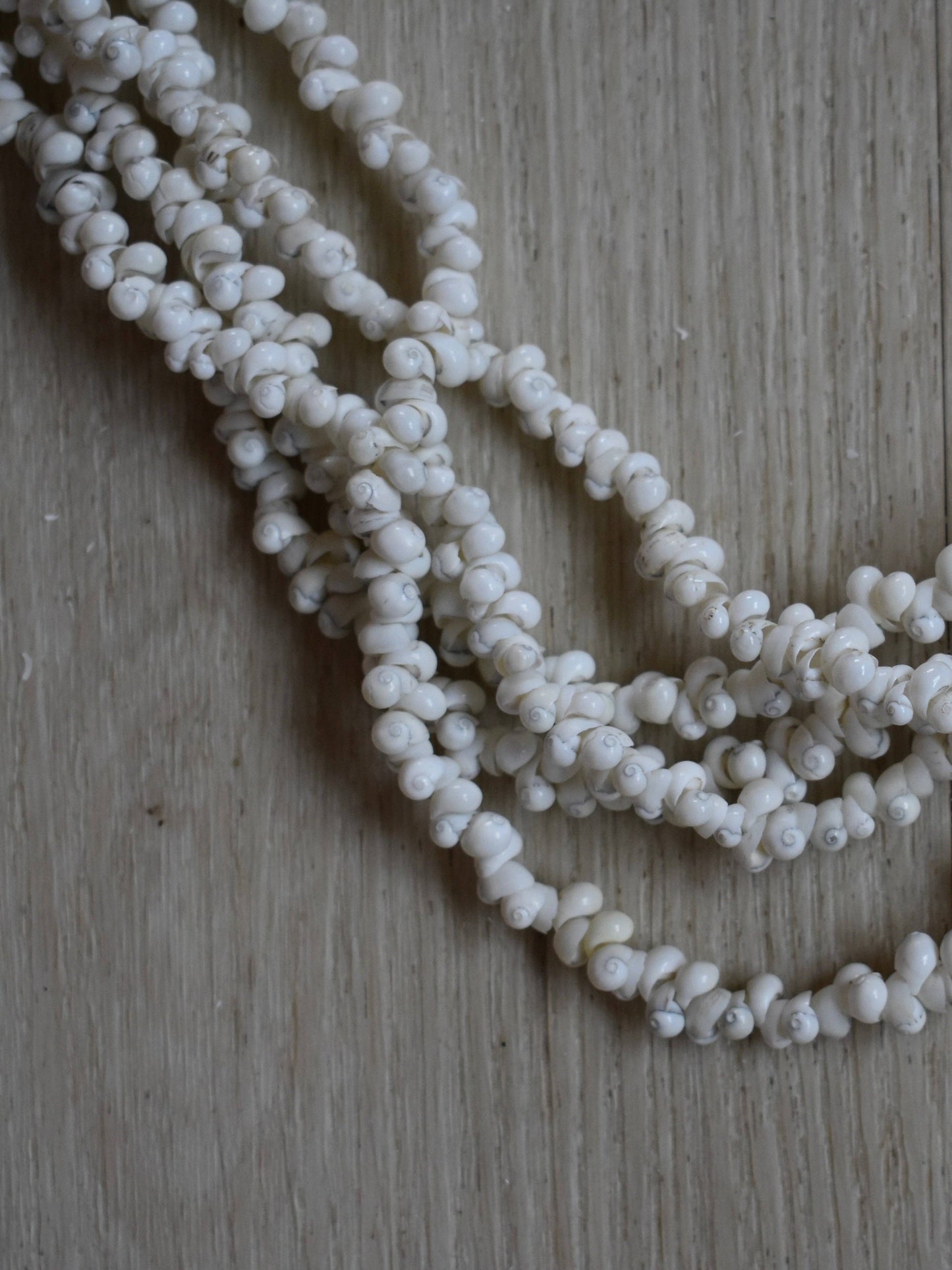 Single Hebrew Shell Five Strand Lei