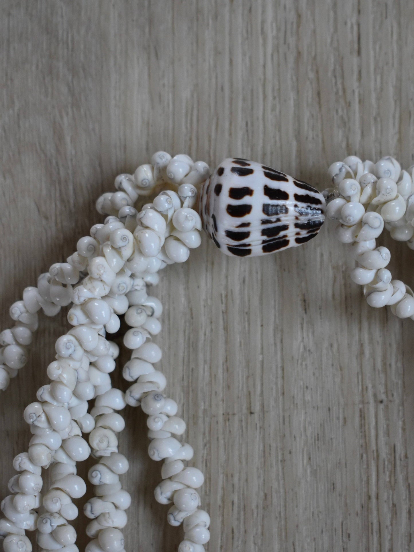 Single Hebrew Shell Five Strand Lei