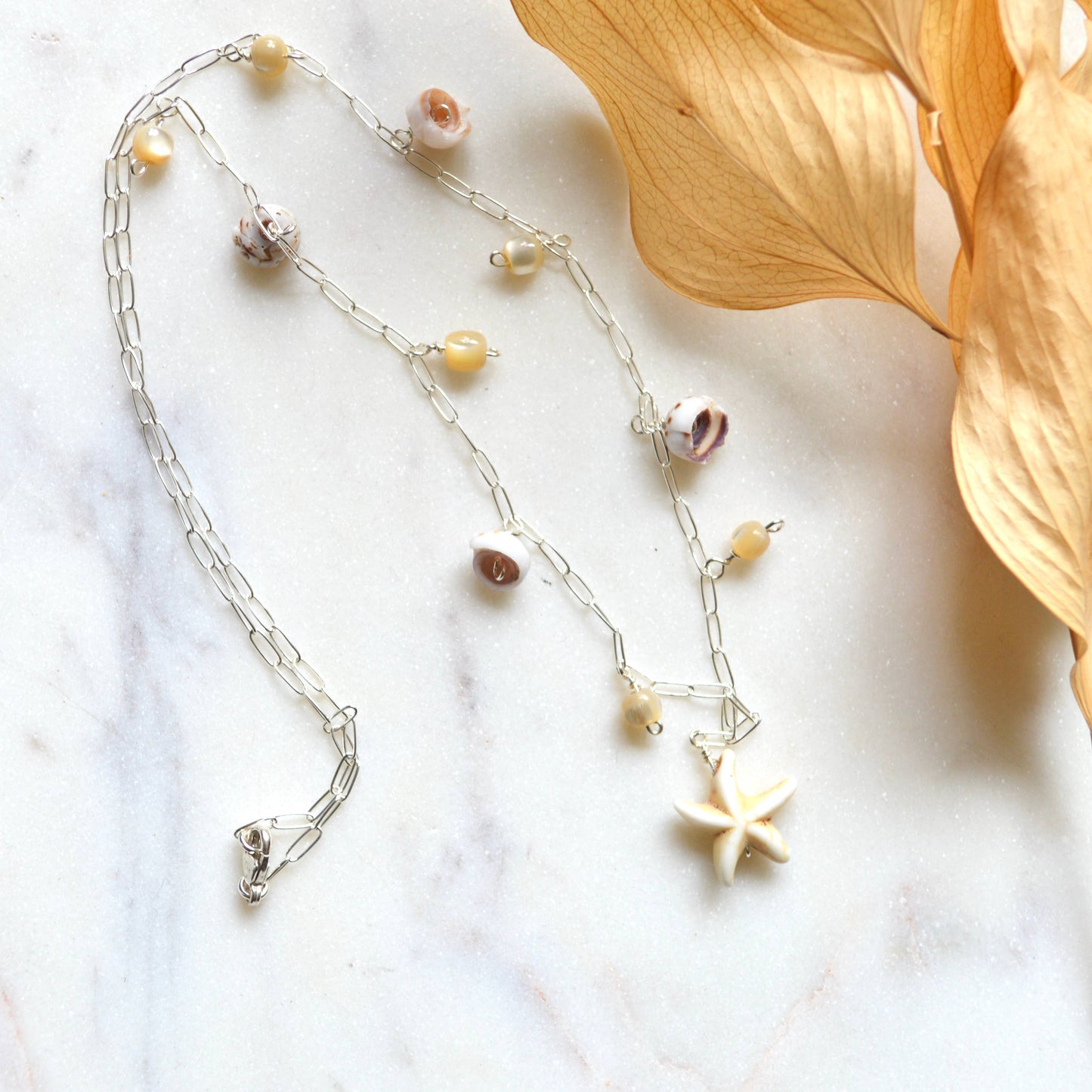 Star Shell Necklace
