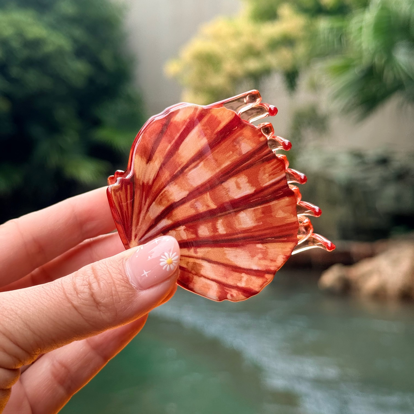 Sunrise Shell Watercolor