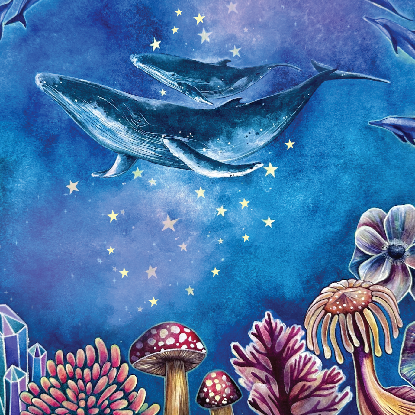 Ocean Wonders by Danielle Burnside