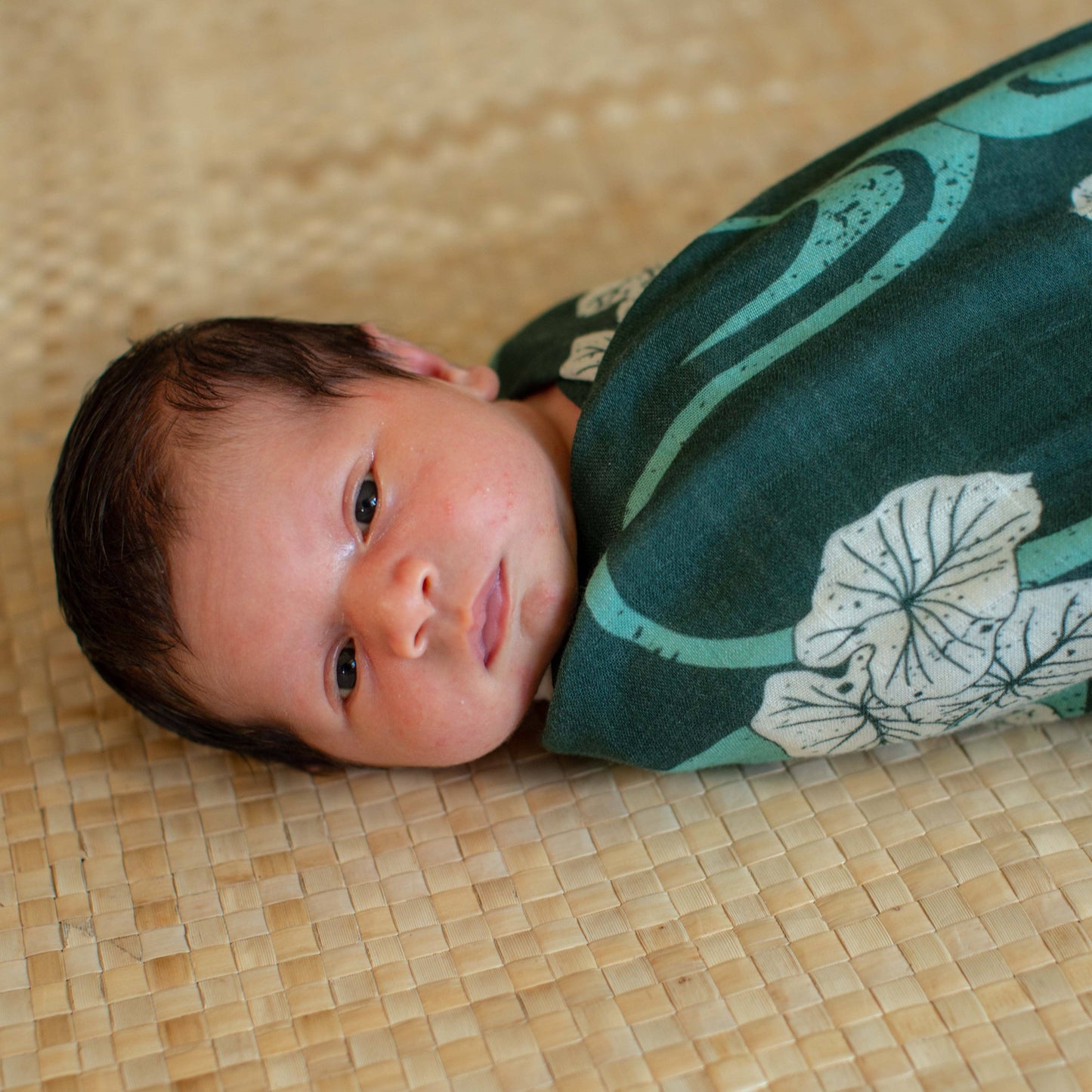 Loʻi Pō Kapa Moe - Swaddle