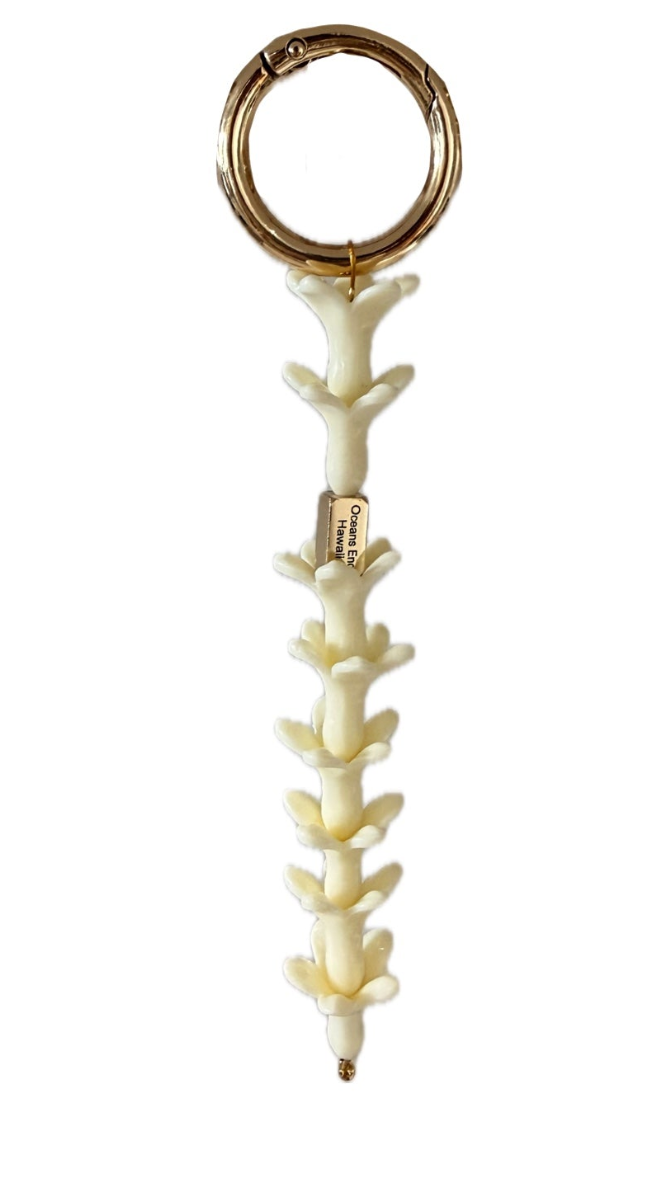 Lei Puakenikeni key chain