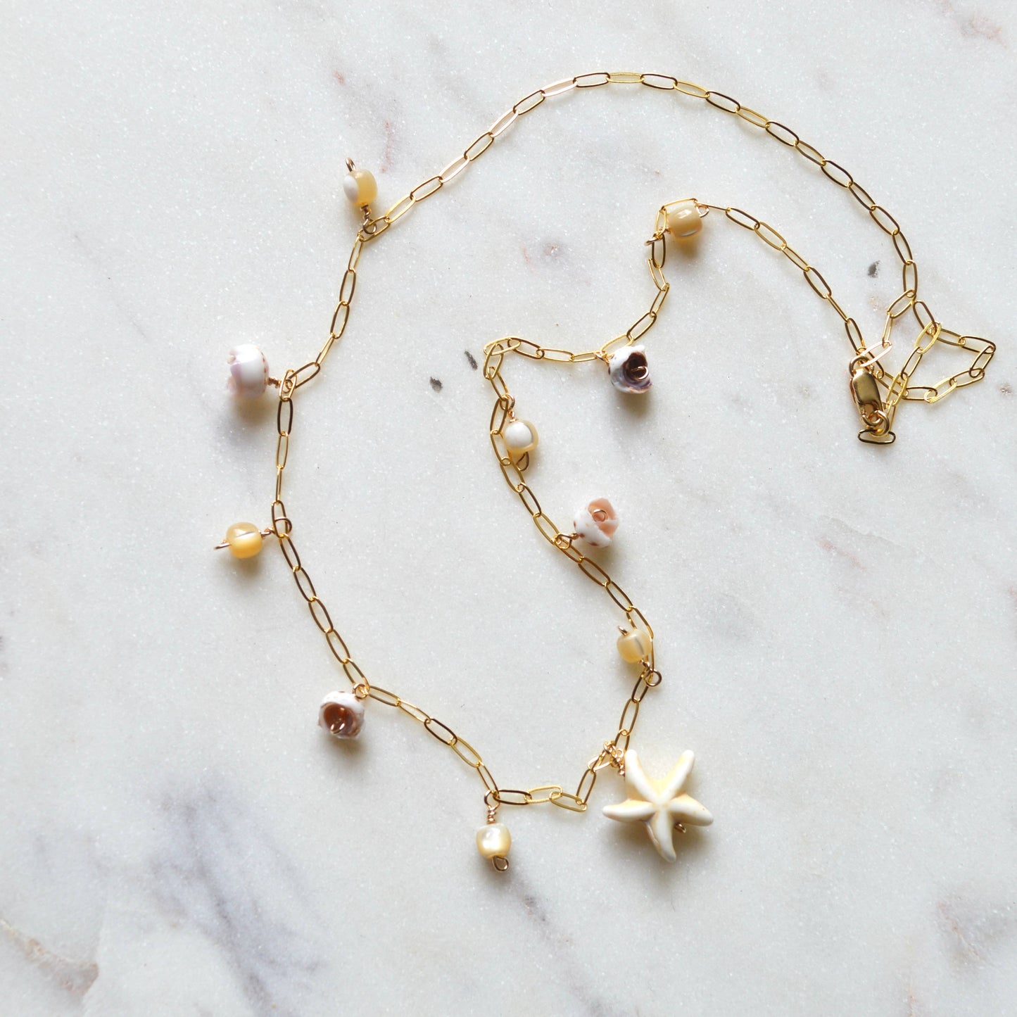 Star Shell Necklace