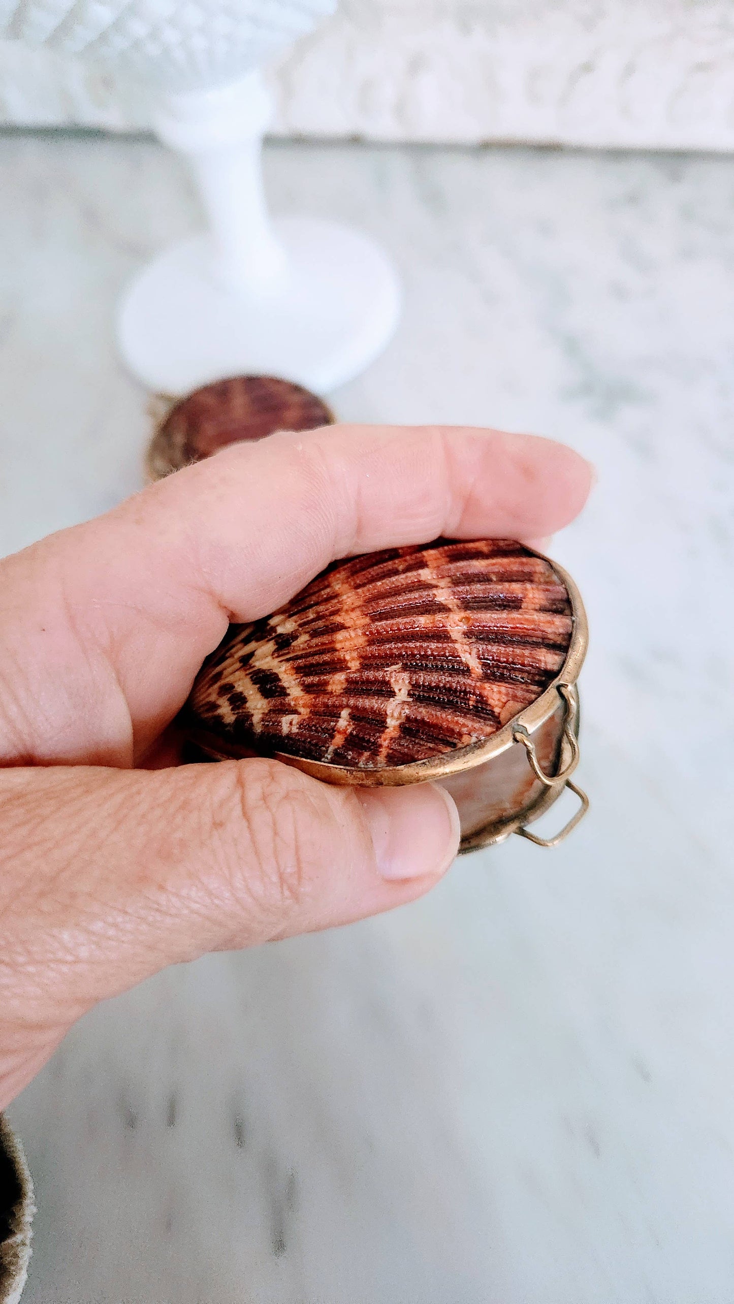 Pink Pectin Scallop Trinket Pill Box