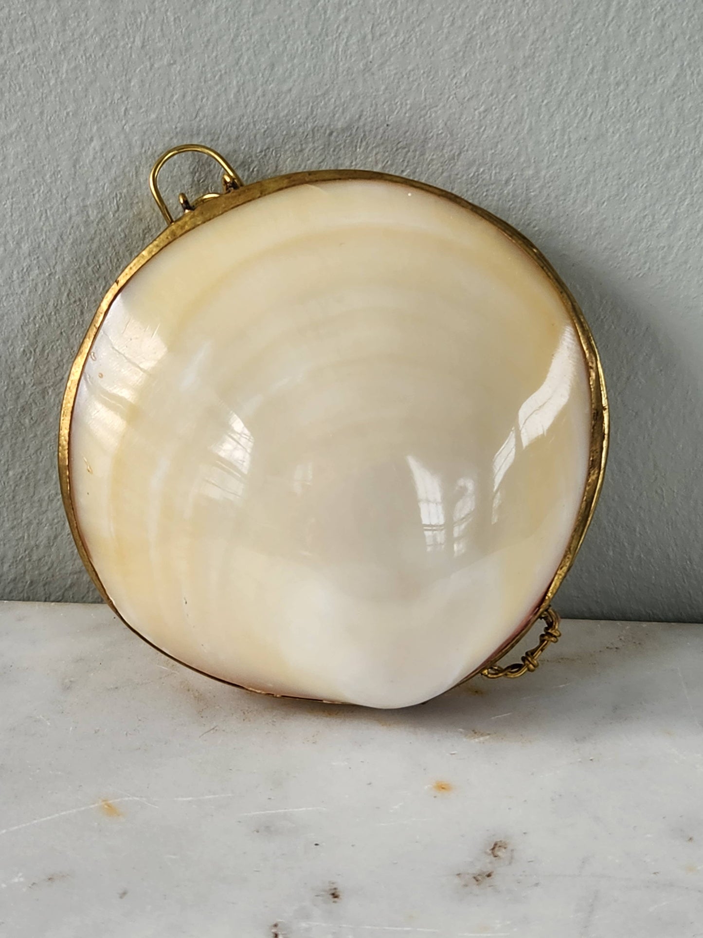 Mini Clam Trinket Coin Purse