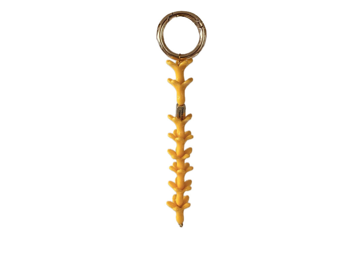 Lei Puakenikeni key chain