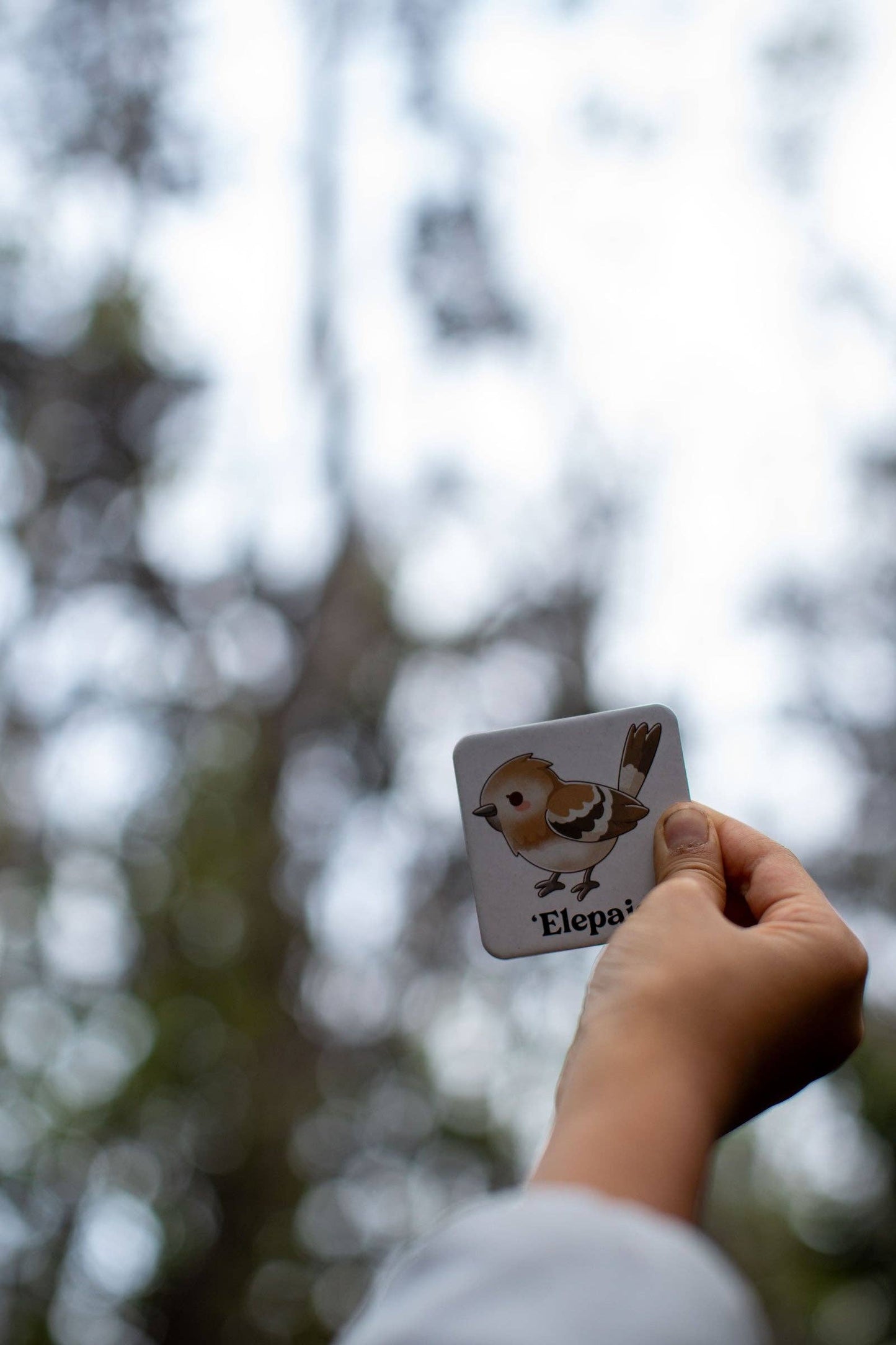 The Memory Game: Mauna Kea
