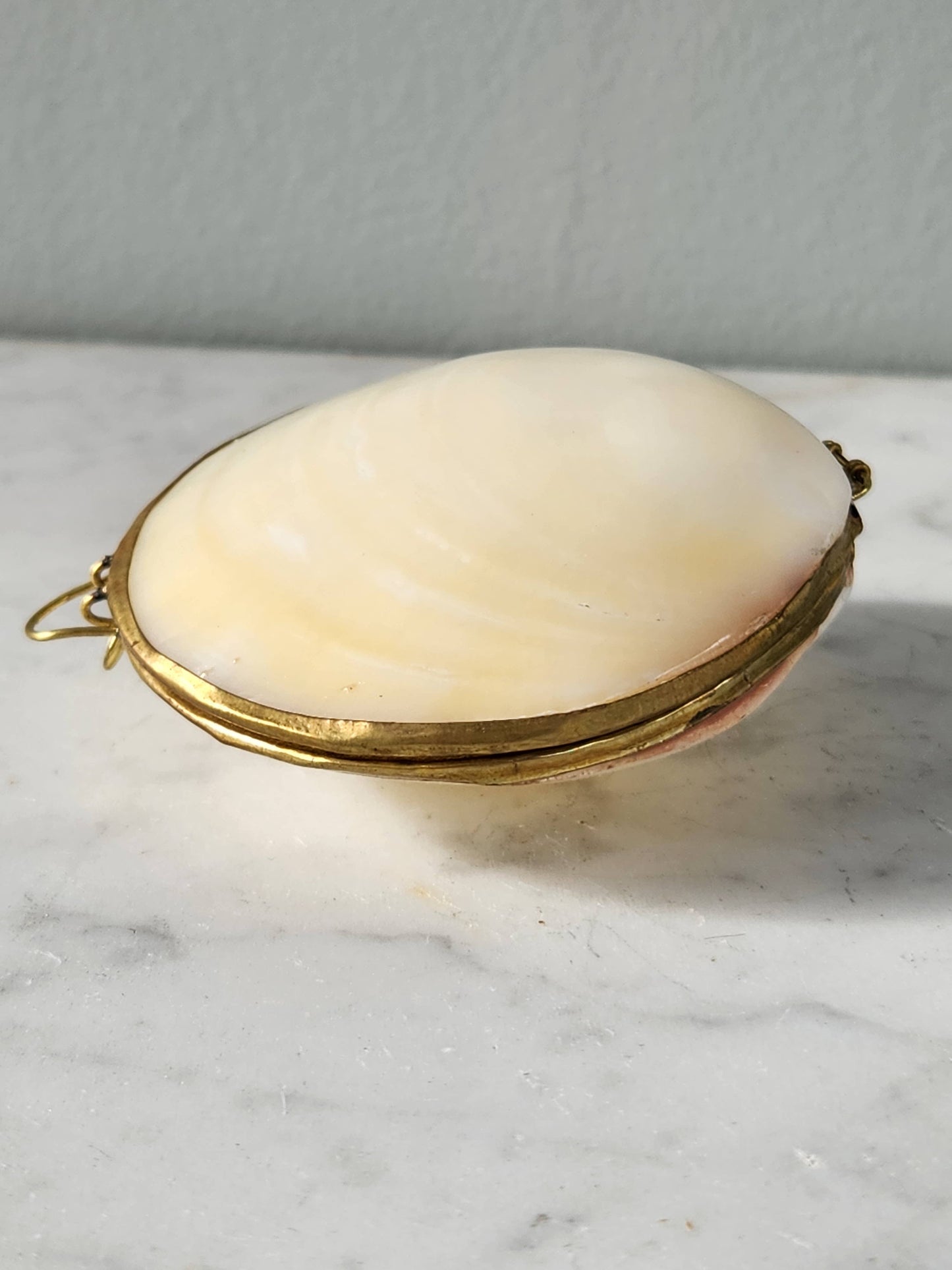 Mini Clam Trinket Coin Purse