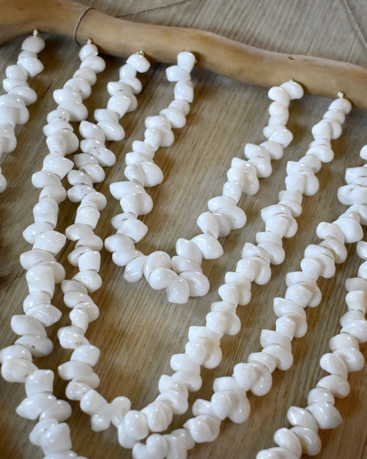 Bubble Shell Driftwood Decor