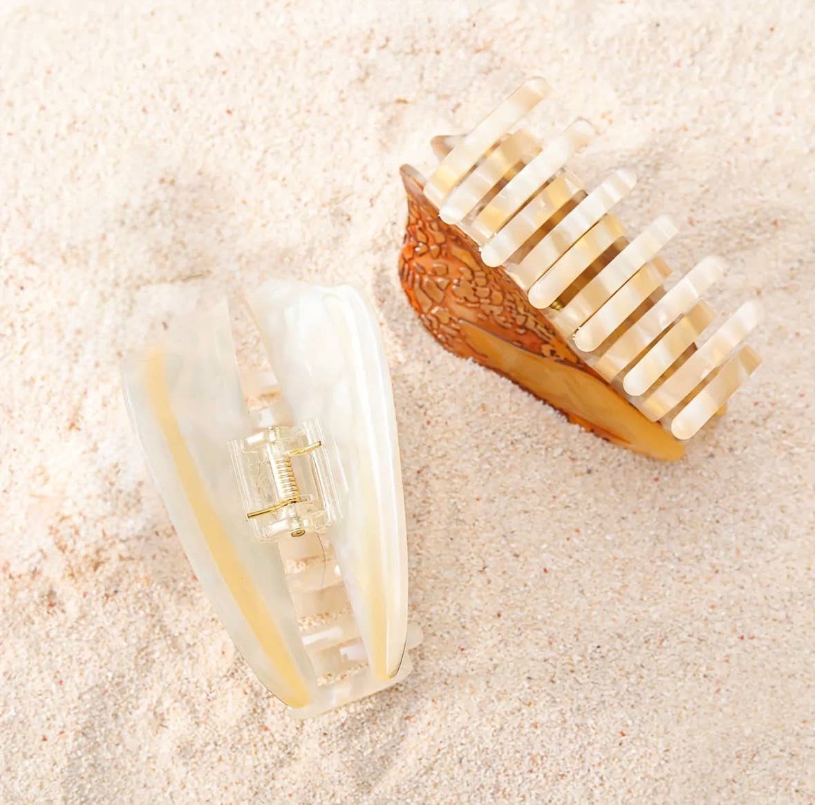 Hebrew Cone Shell Claw Clip