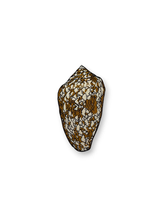 TEXTILE CONE SHELL IRON-ON PATCH