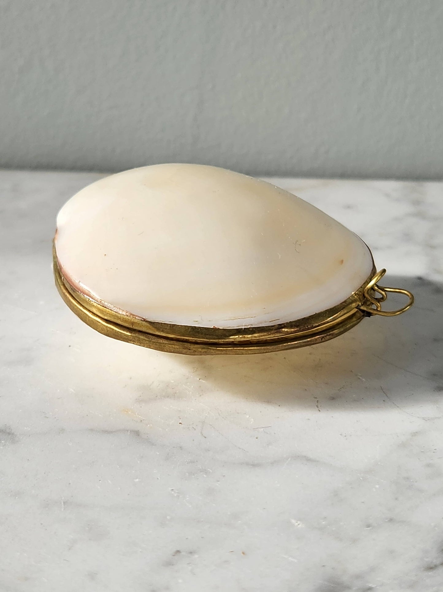 Mini Clam Trinket Coin Purse