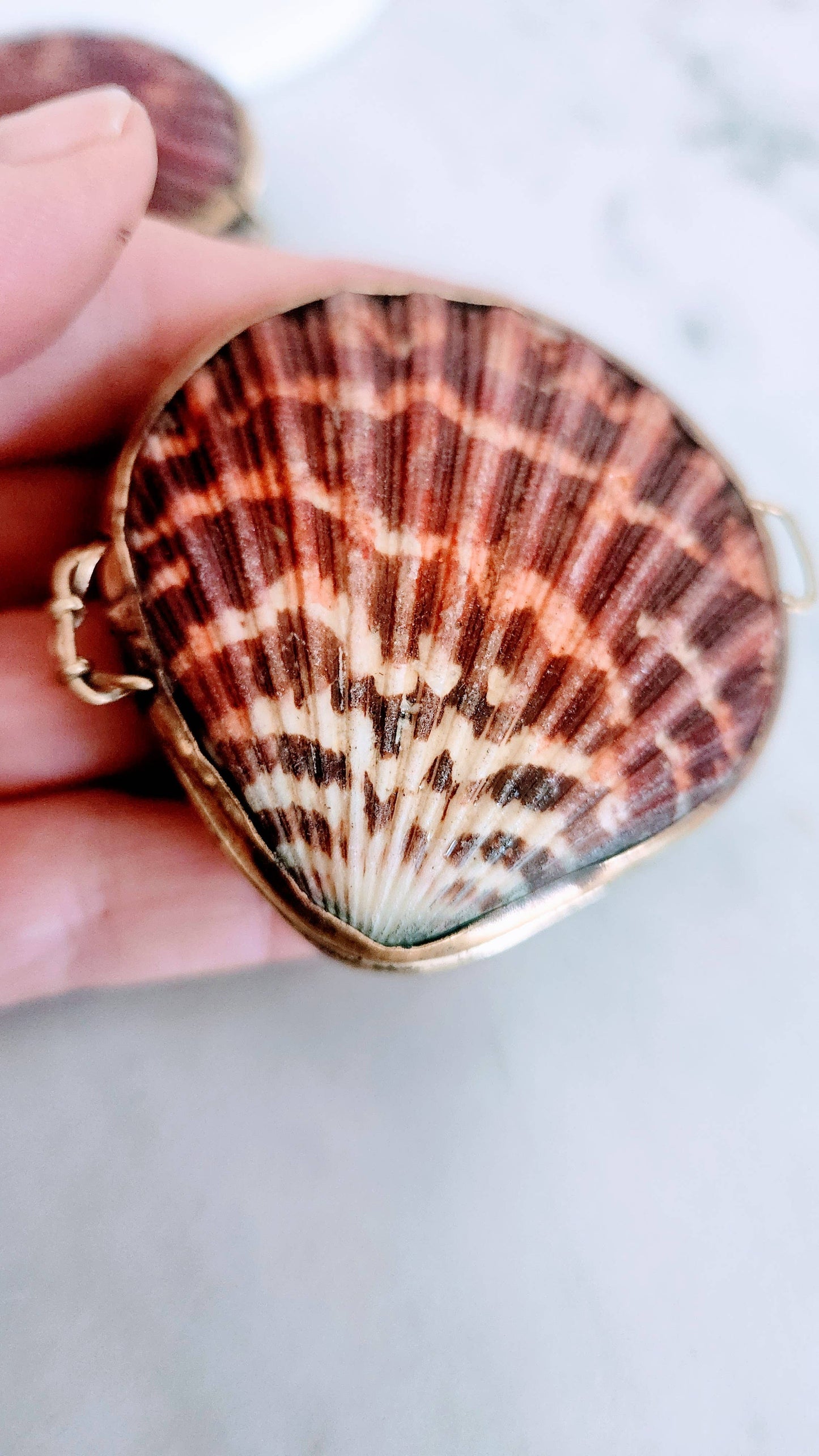 Pink Pectin Scallop Trinket Pill Box