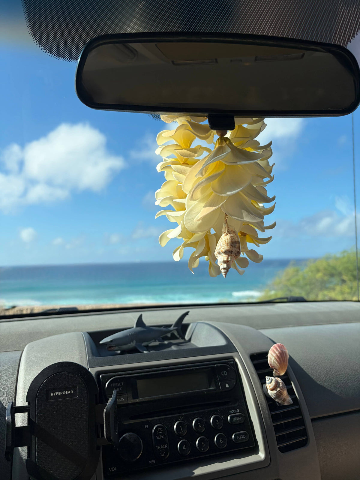 EKOLU - Plumeria and Shell