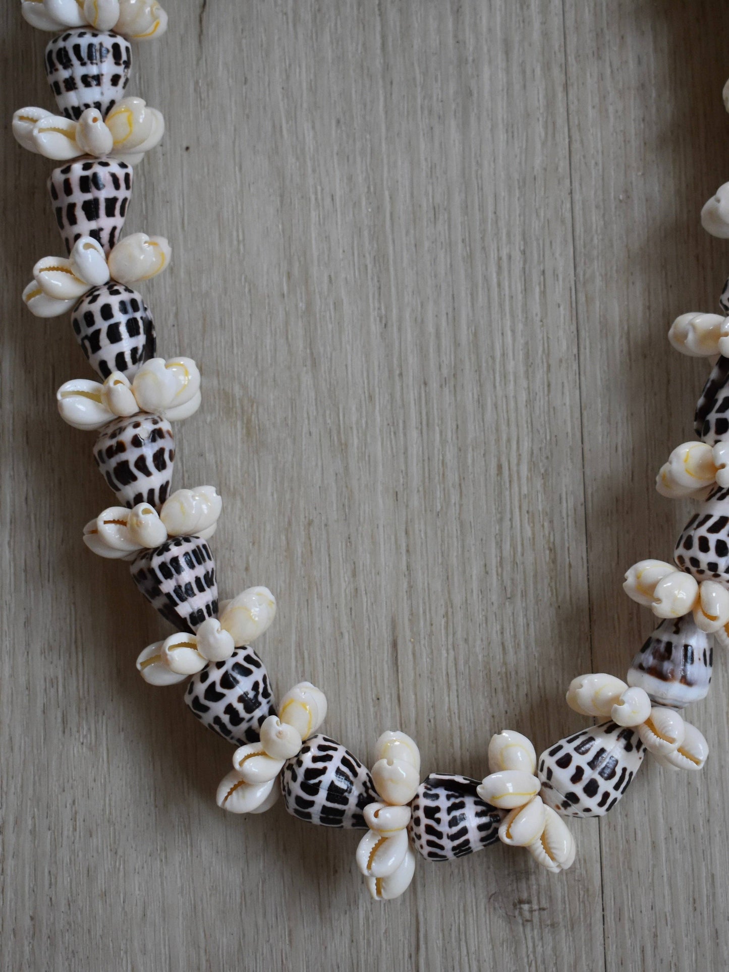 Hebrew Cone Shell + Cowrie Shell Lei