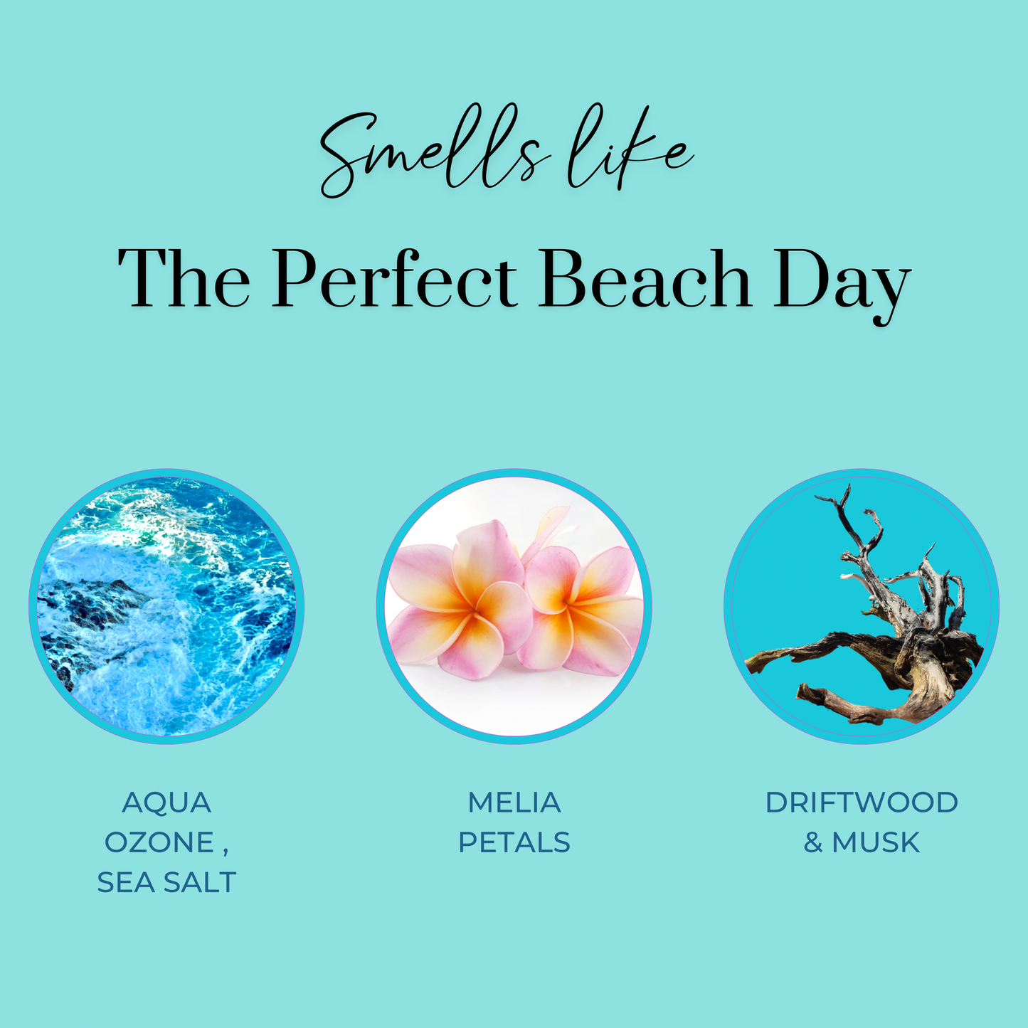 Makai "Seaside Dreams" Perfume Oil Roller