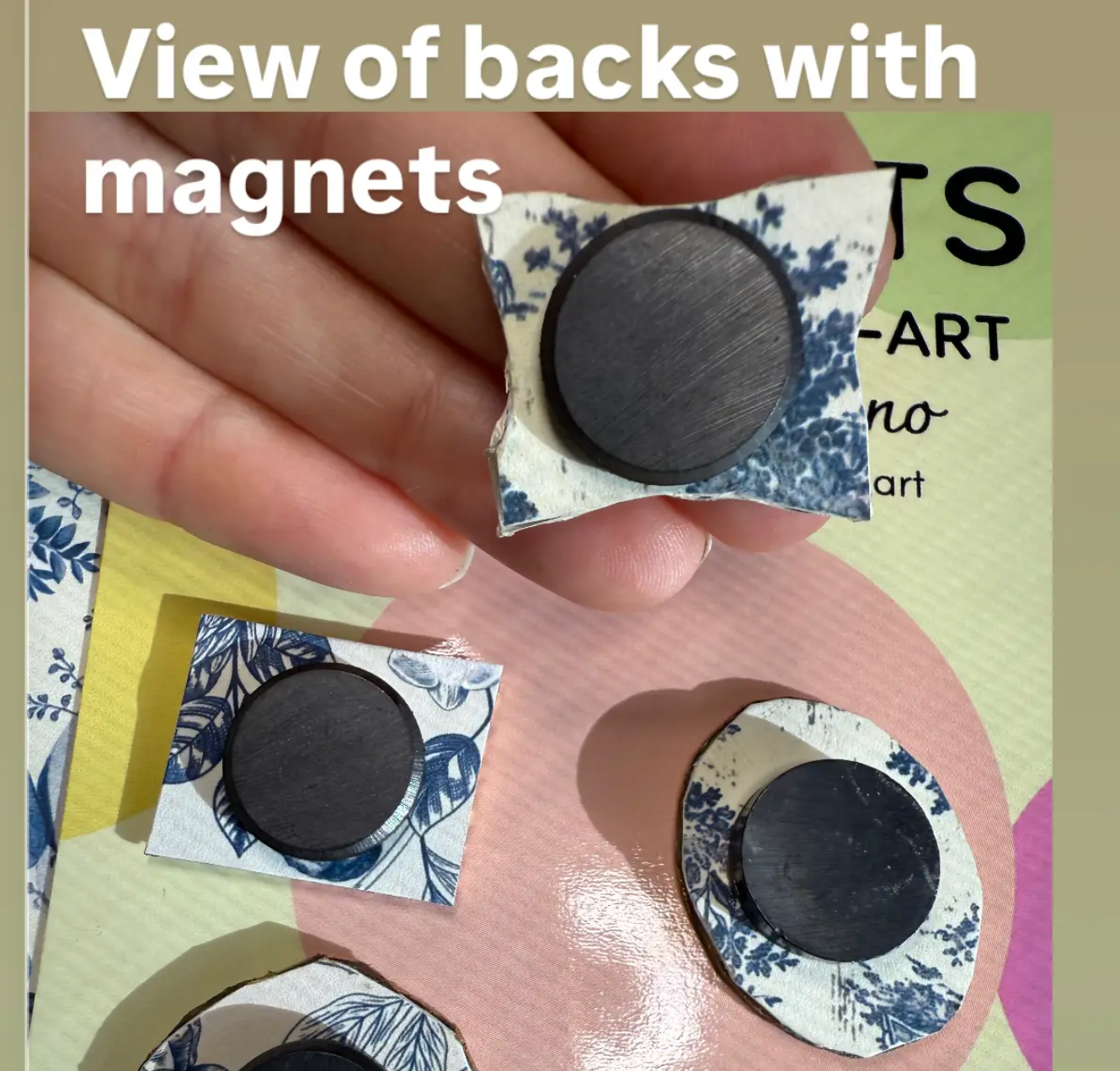 Shells Magnets -Miniature Framed Art