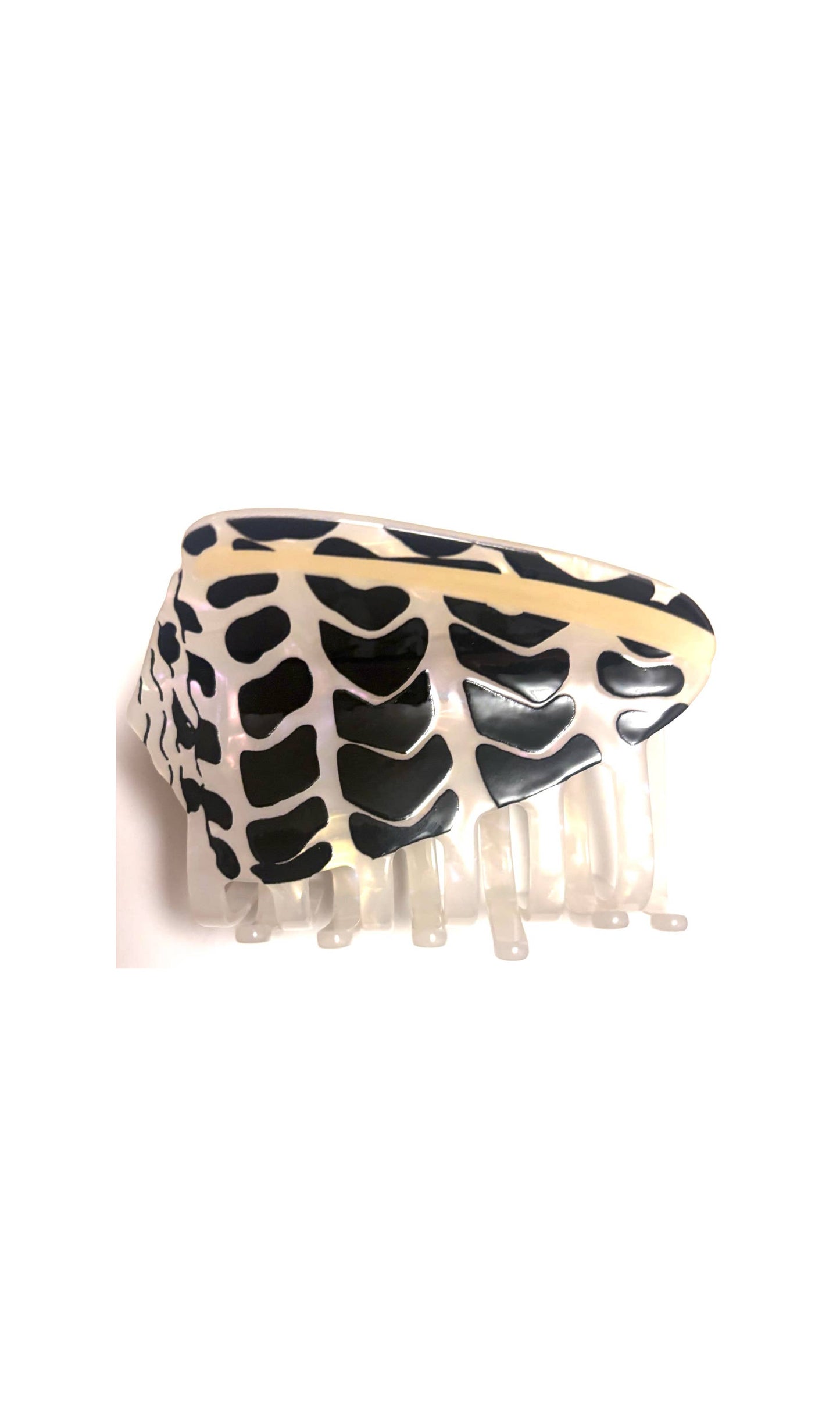 Hebrew Cone Shell Claw Clip