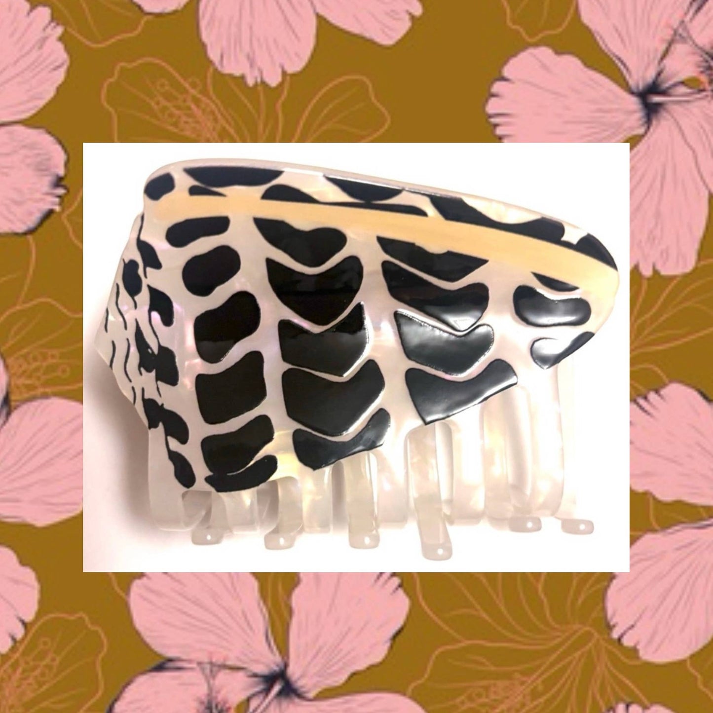 Hebrew Cone Shell Claw Clip