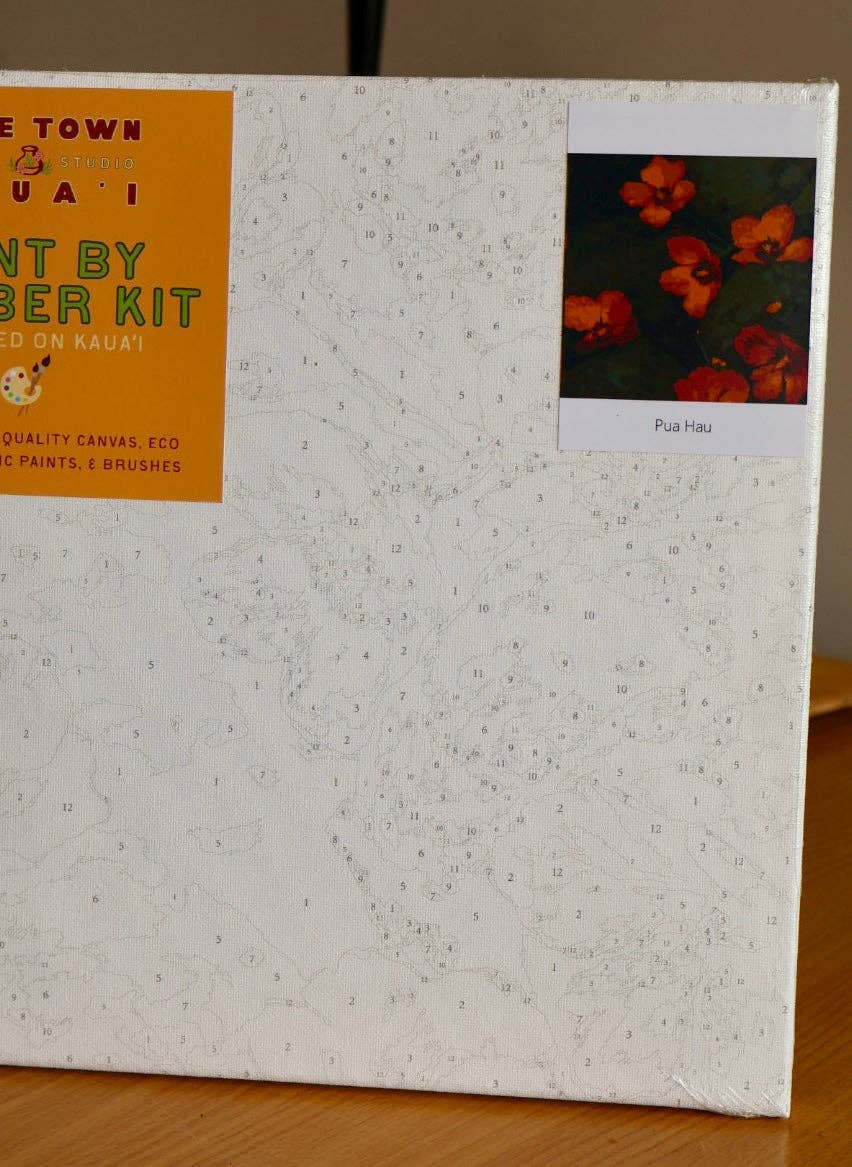 HTK Paint by Number Kits 12* 12