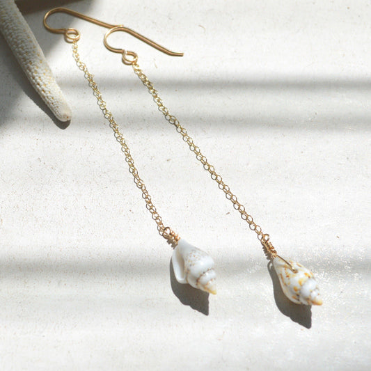 Nassa Shell Chain Earrings