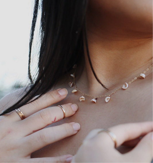 Puka Shell Choker 