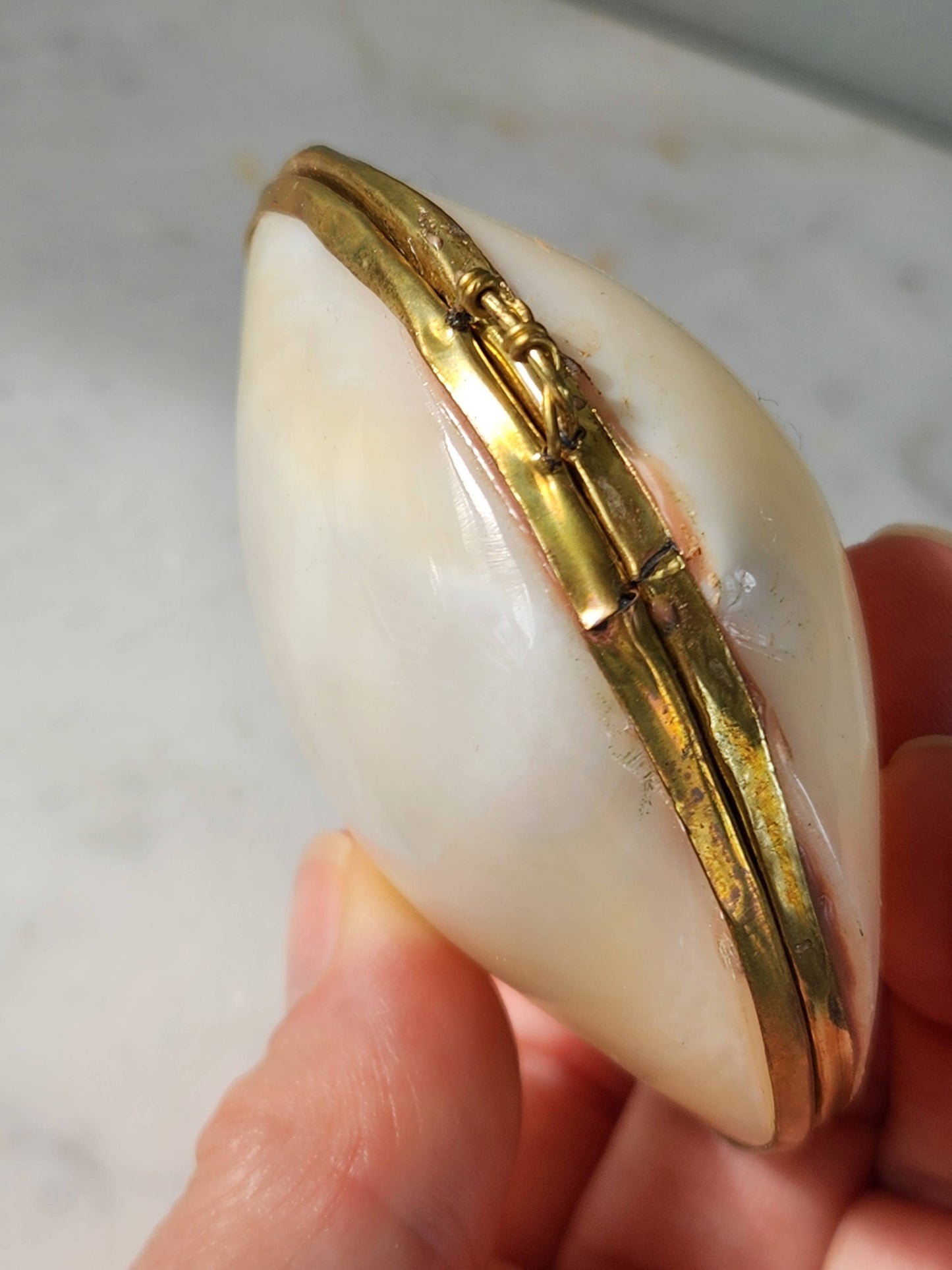 Mini Clam Trinket Coin Purse