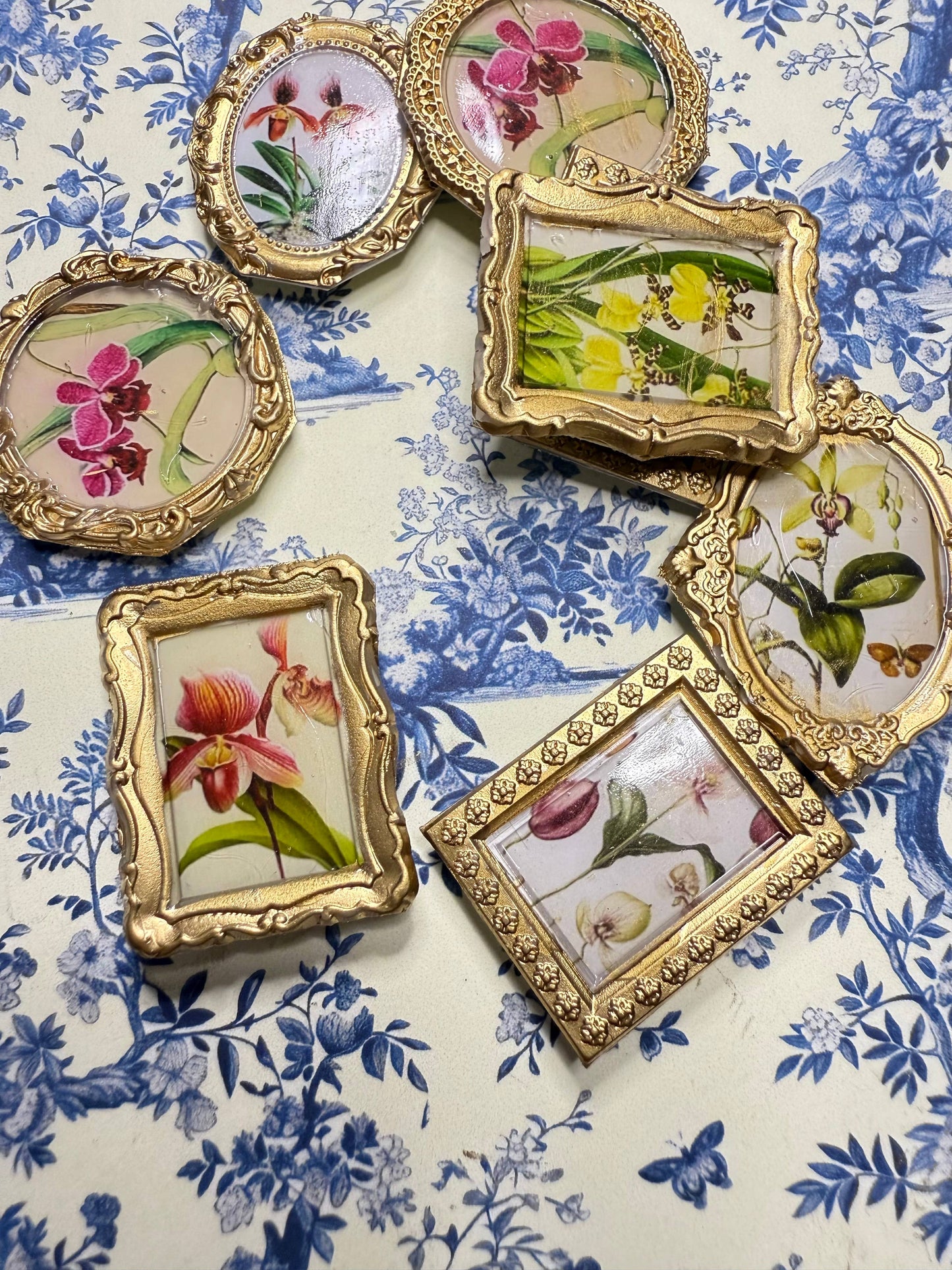 Orchid Botanical Magnets (Set of 4)