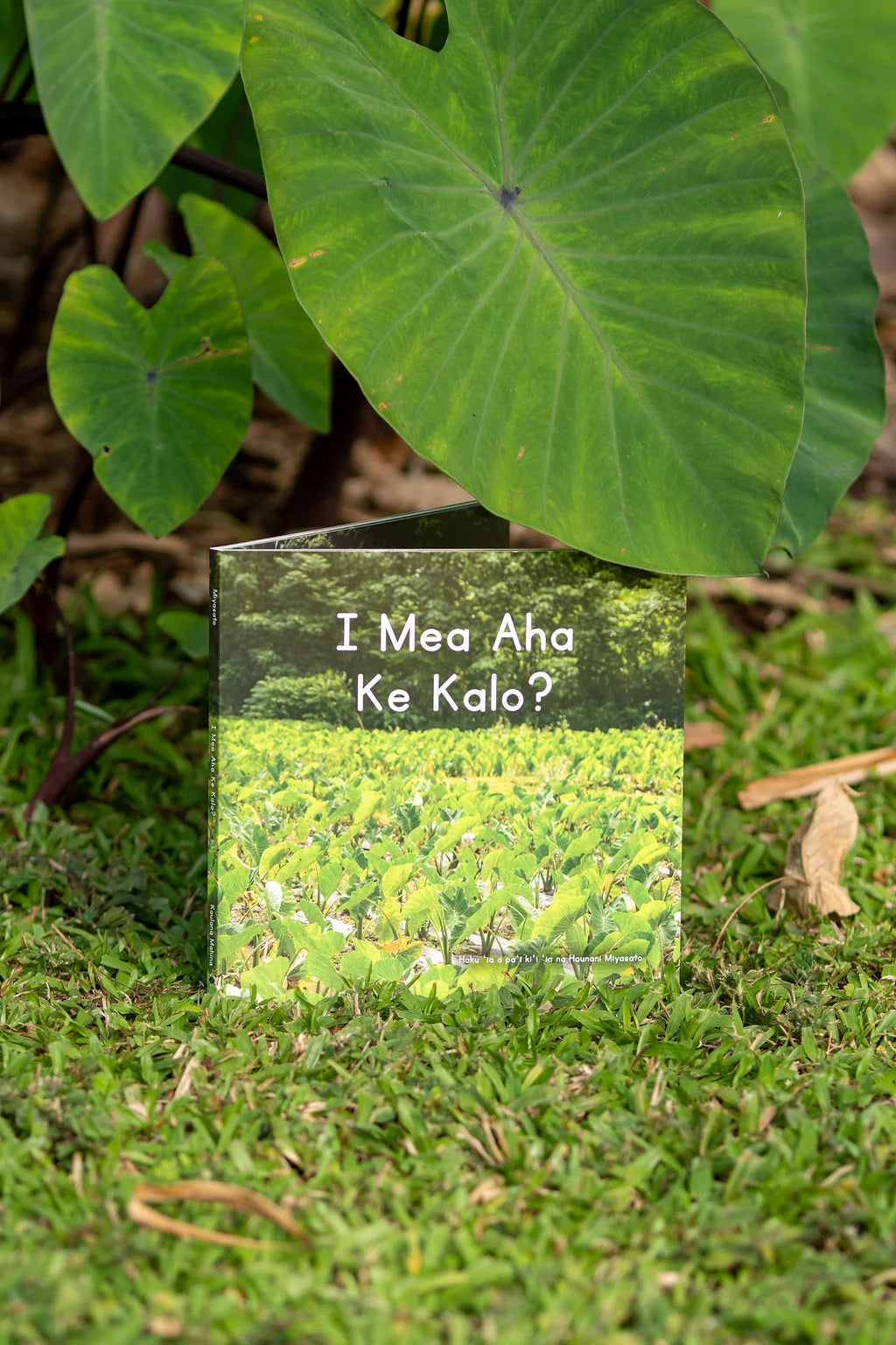 Puke - Kaulana Mahina