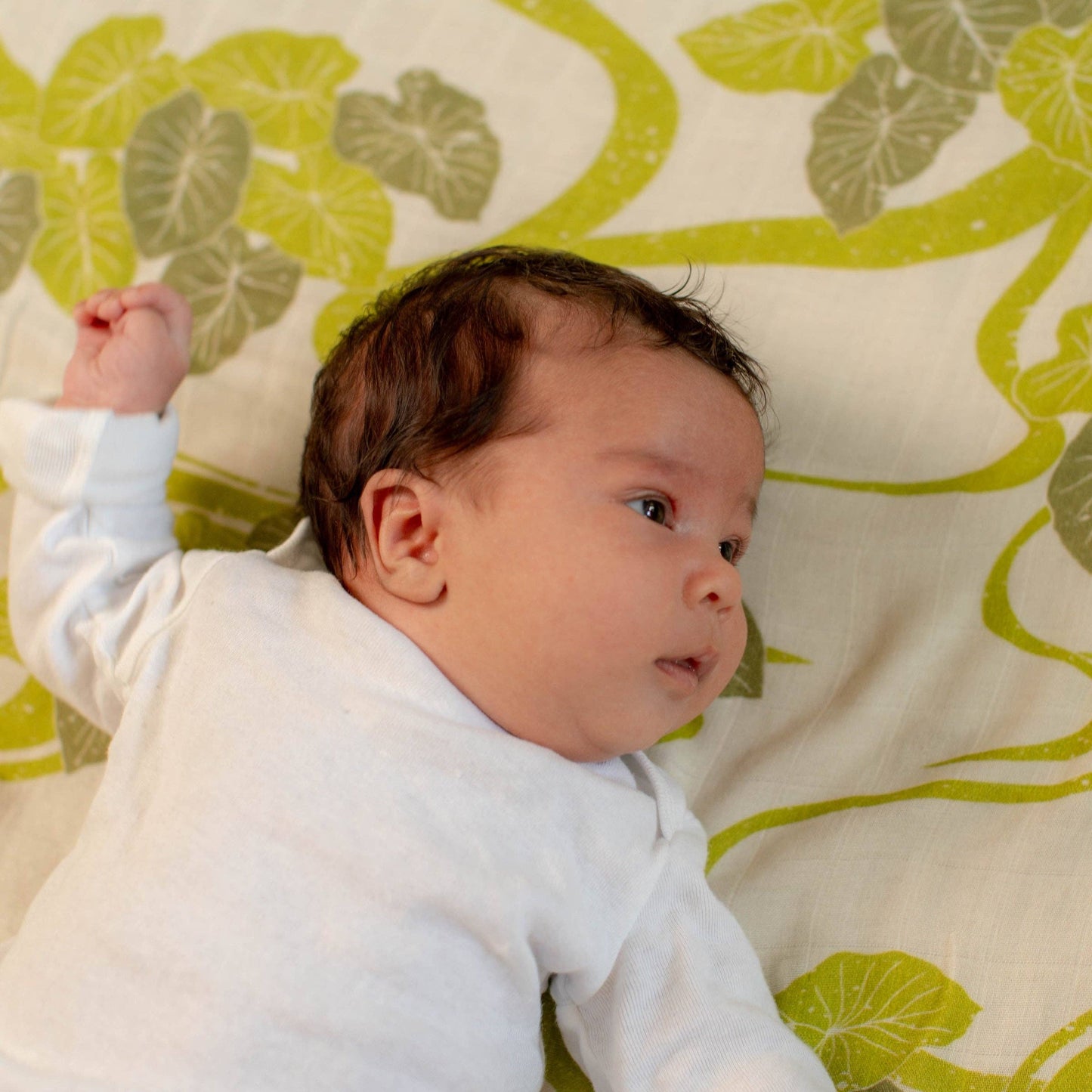 Loʻi Ao Kapa Moe - Swaddle