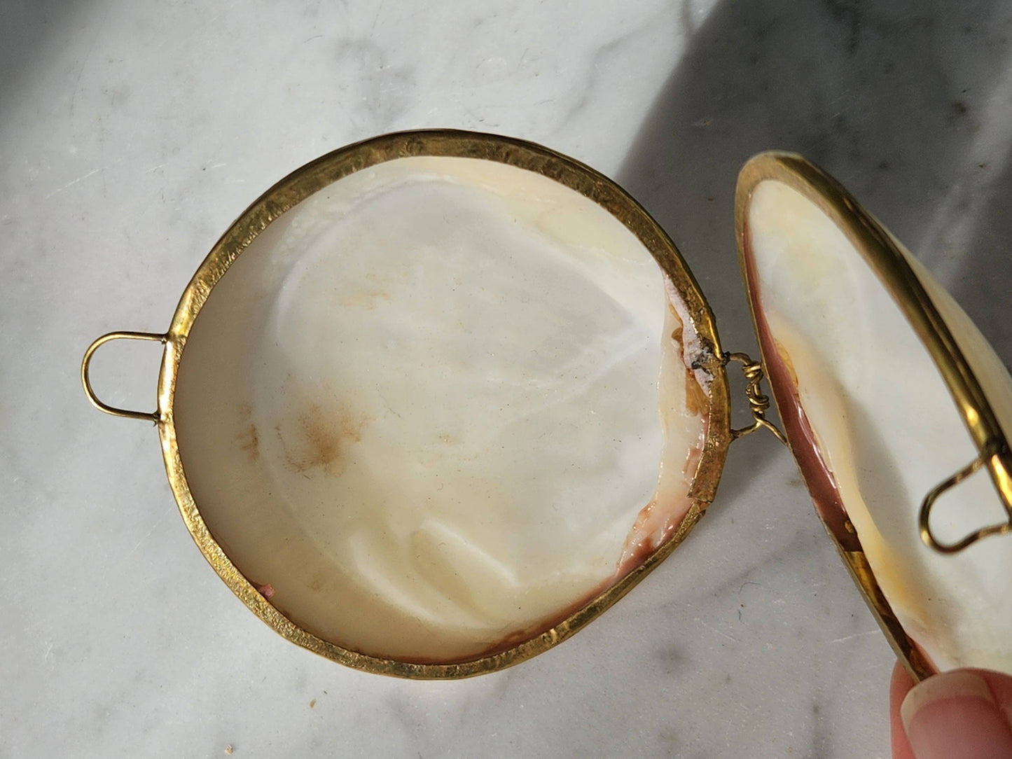 Mini Clam Trinket Coin Purse