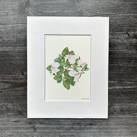 Koki'o Ke'oke'o | Art Print
