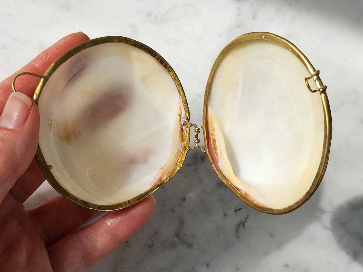 Mini Clam Trinket Coin Purse
