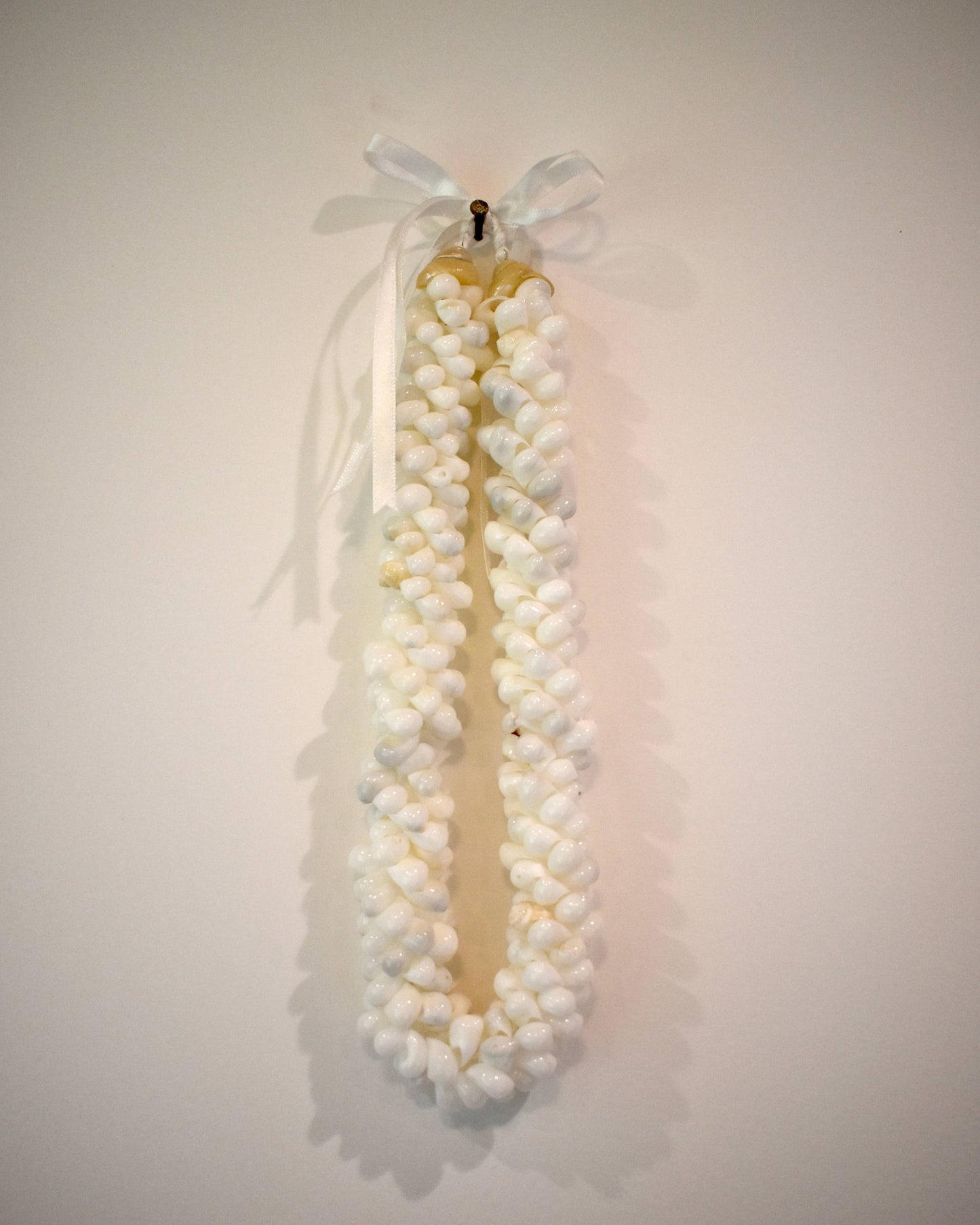 Bubble Shell Lei