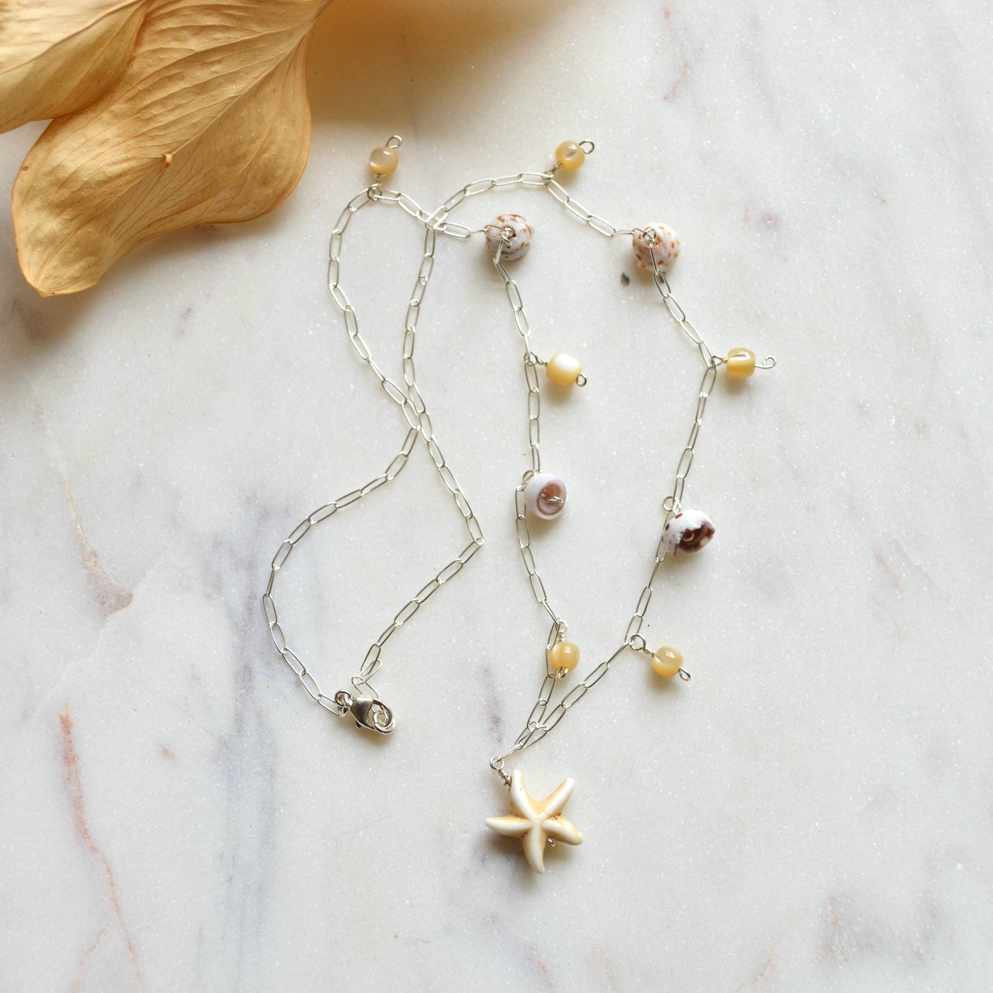 Star Shell Necklace