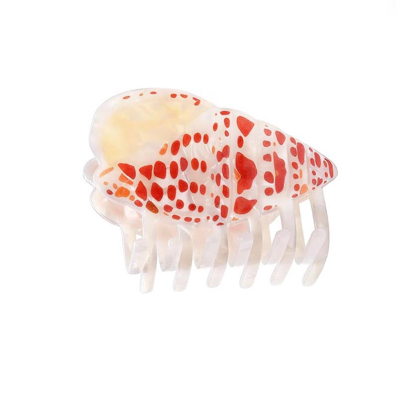 Miter Shell Claw Clip