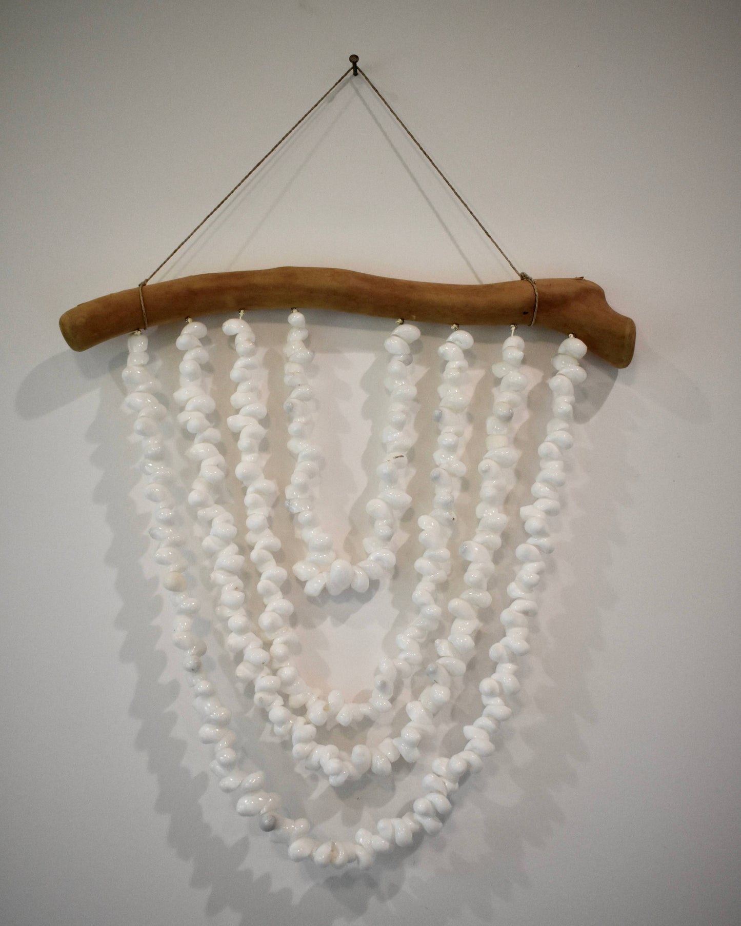 Bubble Shell Driftwood Decor