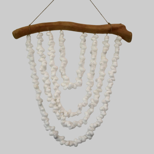 Bubble Shell Driftwood Decor