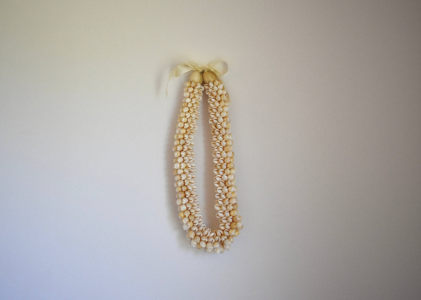 Chunky Cowrie Shell Lei