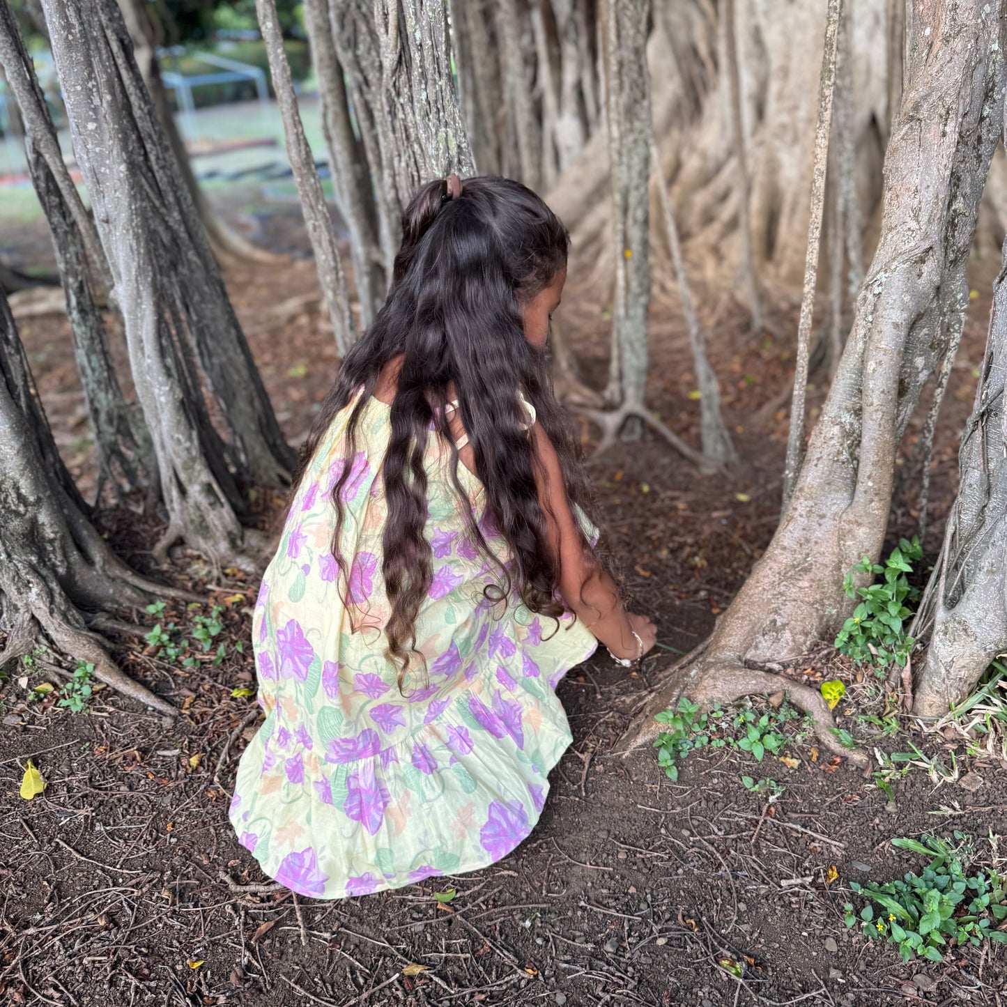 Jovi Dress - Pōhuehue