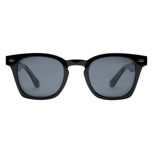 PALMER POLARIZED