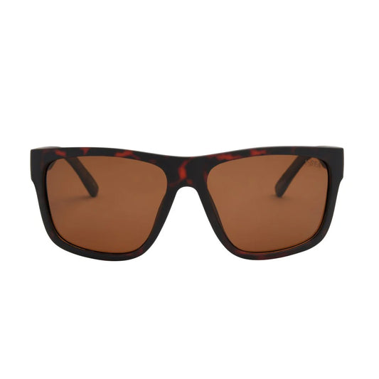 DALTON POLARIZED
