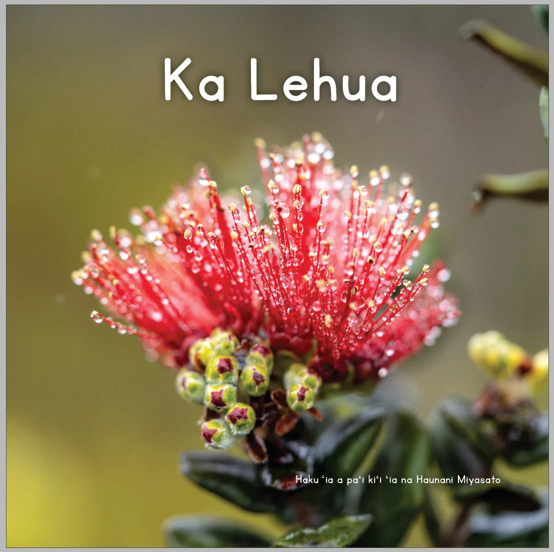 Puke - Kaulana Mahina